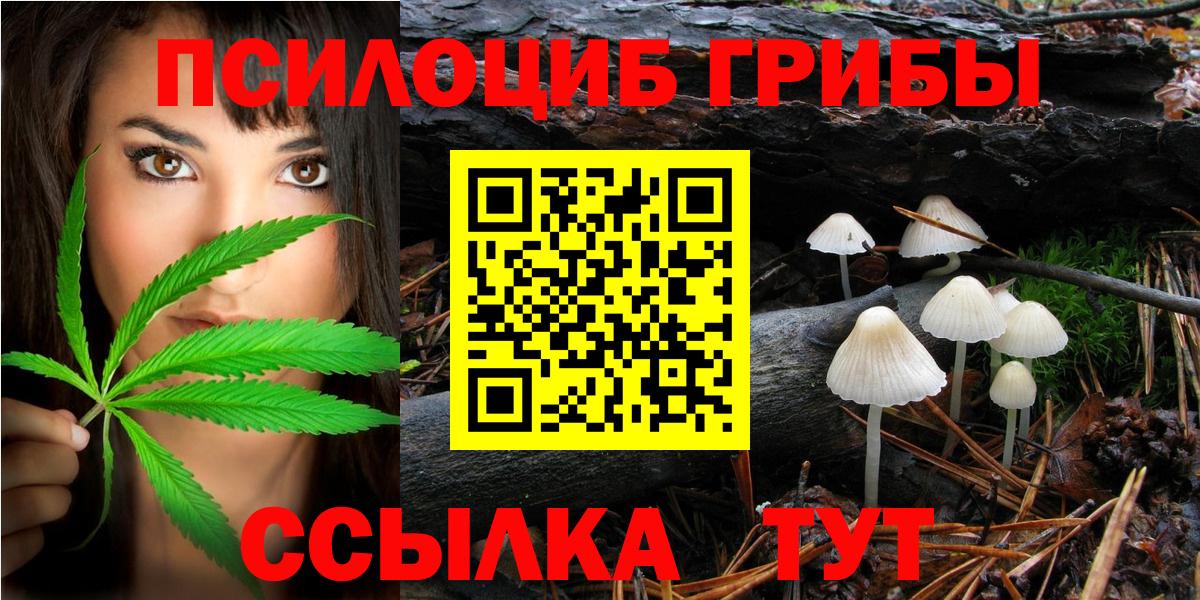 Павлово  Псилоцибиновые грибы мицелий  Вход с VPN 
